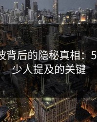 网络风波背后的隐秘真相：51网网址少人提及的关键