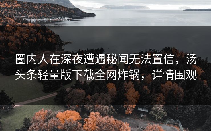 圈内人在深夜遭遇秘闻无法置信，汤头条轻量版下载全网炸锅，详情围观