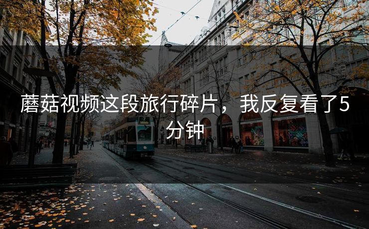 蘑菇视频这段旅行碎片，我反复看了5分钟